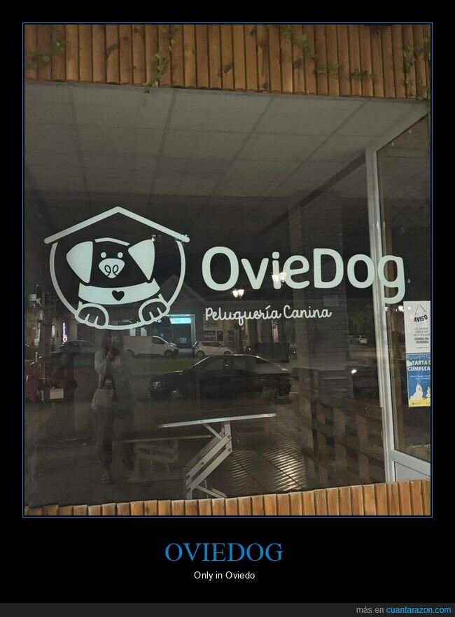oviedo,perros,peluquería canina