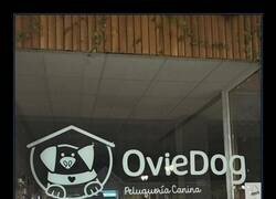 Enlace a Oviedog