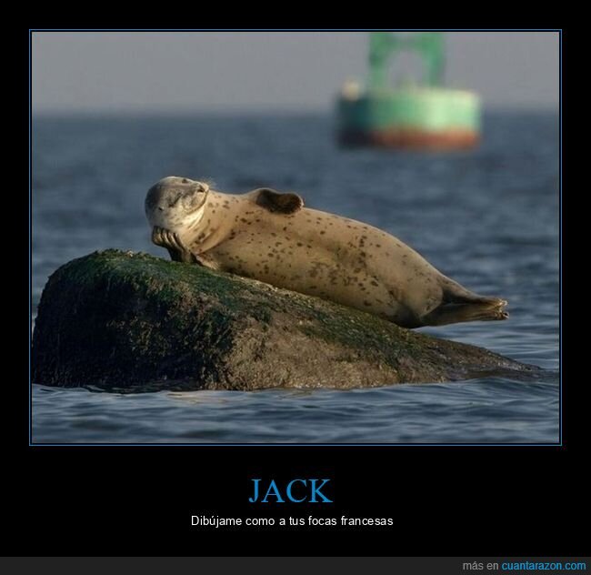 francesas,dibujar,focas,titanic,jack