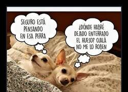 Enlace a Cada uno a su bola