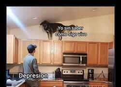 Enlace a Lo estoy sobrellevando de p+ta madre