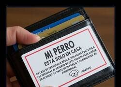 Enlace a Me voy a hacer una