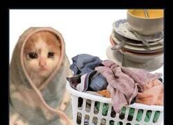 Enlace a Al final no era tan divertido