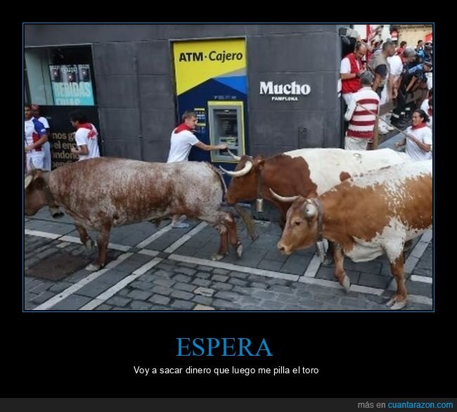 cajero,vacas,sanfermin,dinero