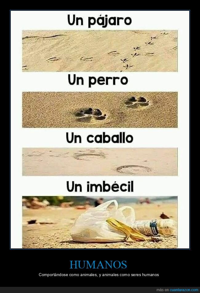 comportarse,animales,animal,humanos,humano,basura