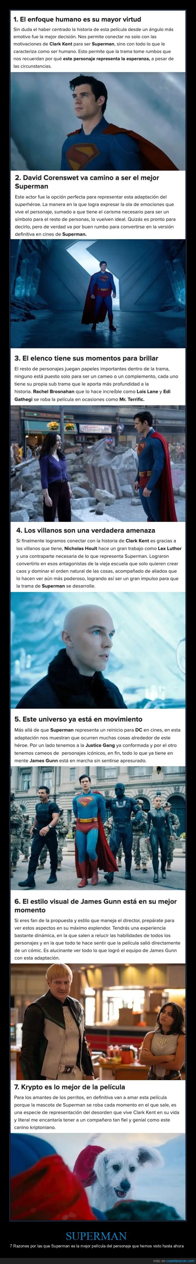 perrito,alguien,cuando,timbre,toca