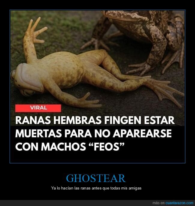 feos,ghostear,ranas