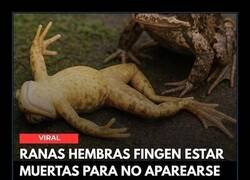 Enlace a La cosa viene de lejos