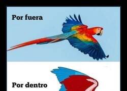 Enlace a Cómo perder toda tu elegancia