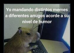 Enlace a Reparto de memes