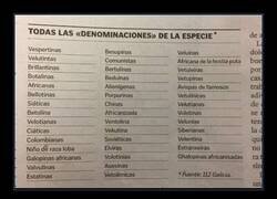 Enlace a Un nombre complicado