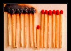 Enlace a Evitando la propagación