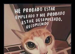 Enlace a La recomendación del día