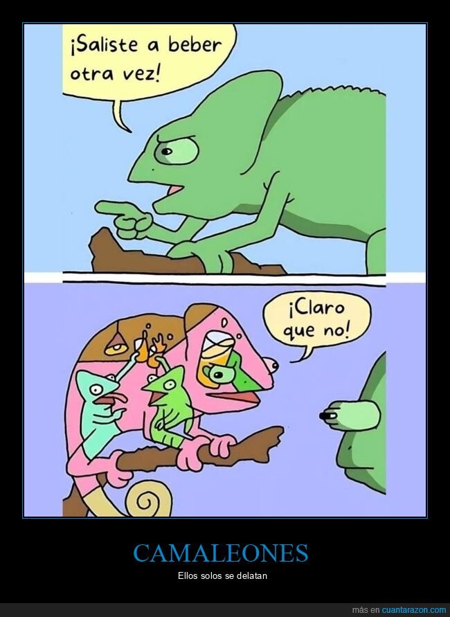 camaleón,beber