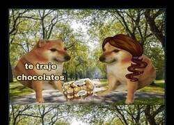 Enlace a Amor compartido.