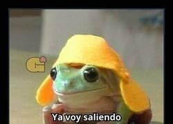 Enlace a La falsedad