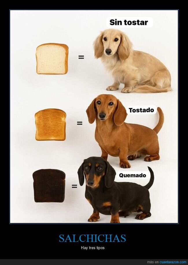perros,tostadas,salchichas
