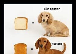 Enlace a Grados de tueste