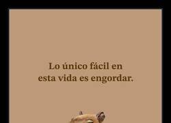 Enlace a Tristemente cierto