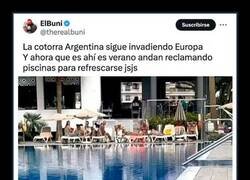 Enlace a Cotorras invasoras