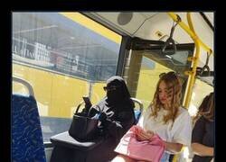 Enlace a Contraste en el bus