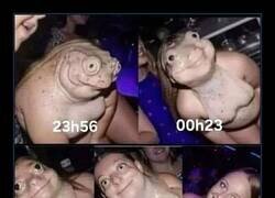 Enlace a Metamorfosis nocturna