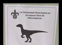 Enlace a Espacio seguro