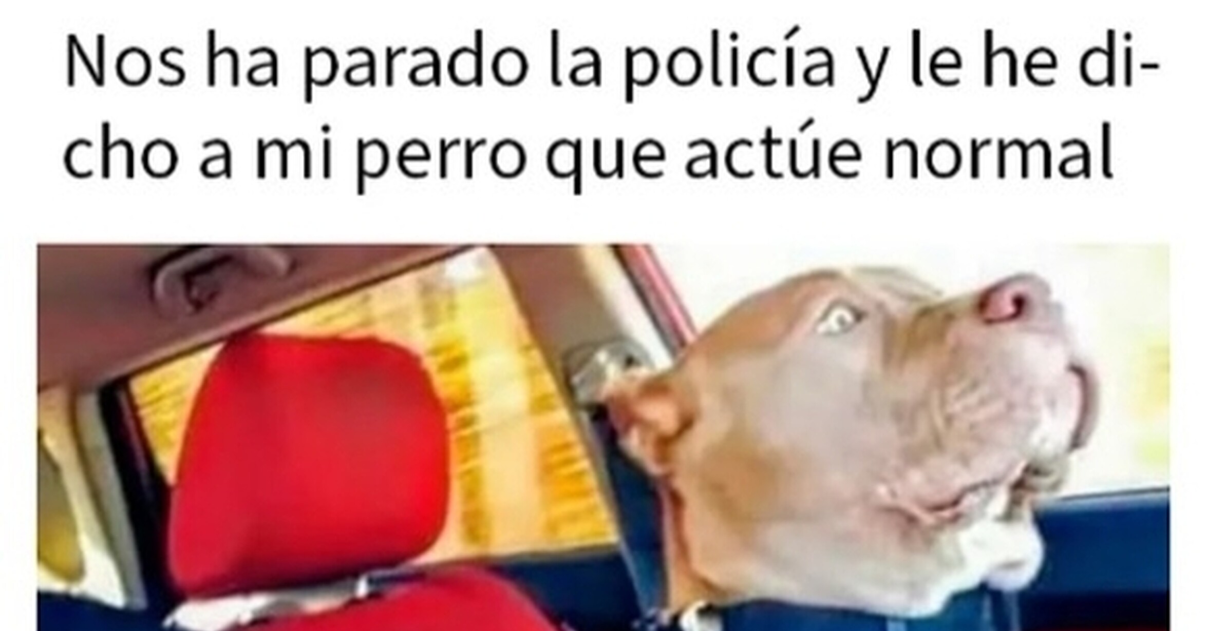 ¡Cuánta razón! / Divertidos y sarcásticos memes para echarse unas risas
