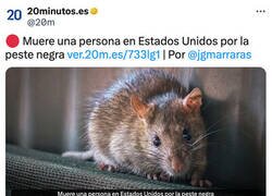 Enlace a Medievo estadounidense