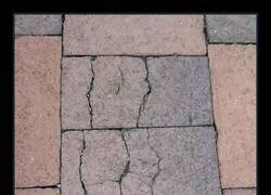 Enlace a Suelo seductor