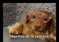 Enlace a Objetivo prioritario