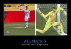 Enlace a Memoria muscular alemana