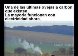 Enlace a Especie obsoleta