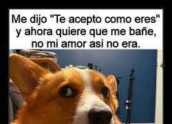 Enlace a Al final siempre intentan cambiarte...