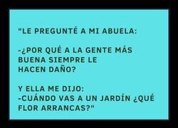 Enlace a Sabiduría de abuela