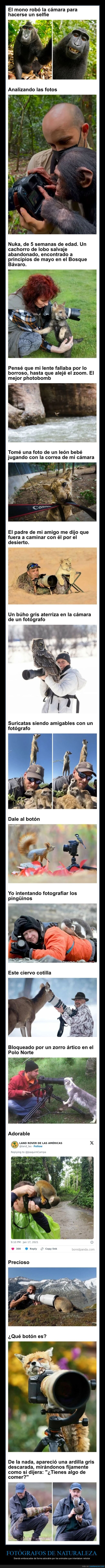 fotógrafos,naturaleza,animales