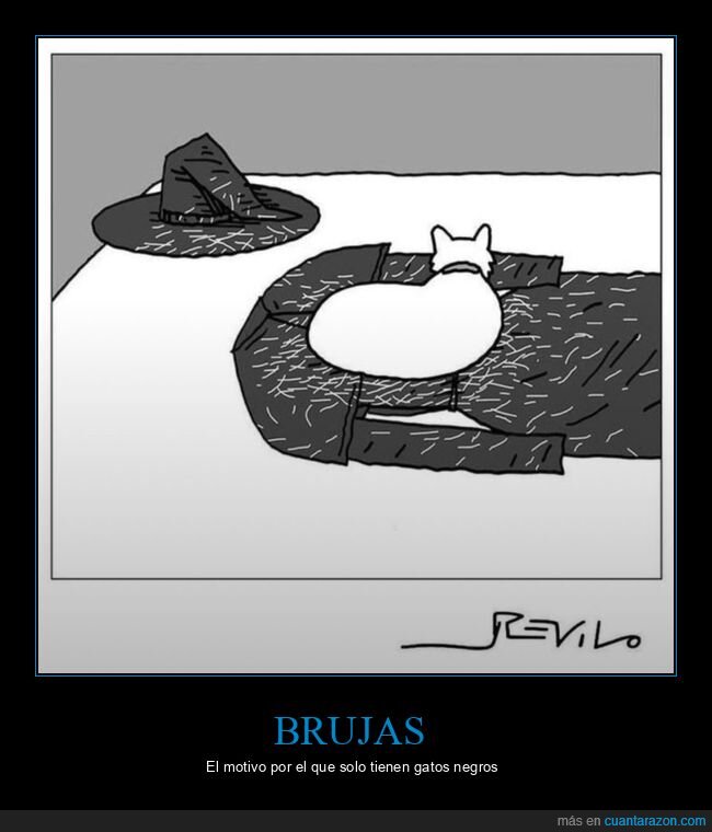 brujas,gatos,negros