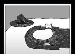 Enlace a El color de sus gatos no es casual...