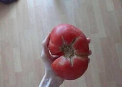 Enlace a La comida más saludable