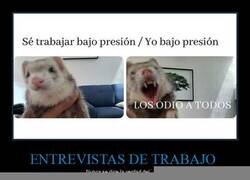 Enlace a Maquillando la realidad en la entrevista de trabajo