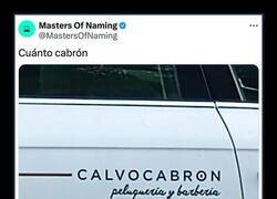 Enlace a Peluquero alopécico