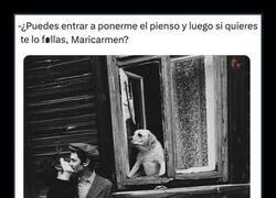 Enlace a Perro hambriento