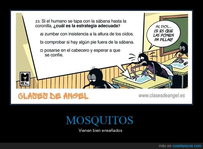 mosquitosexamen