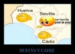 Enlace a Solo quiere un píxel...