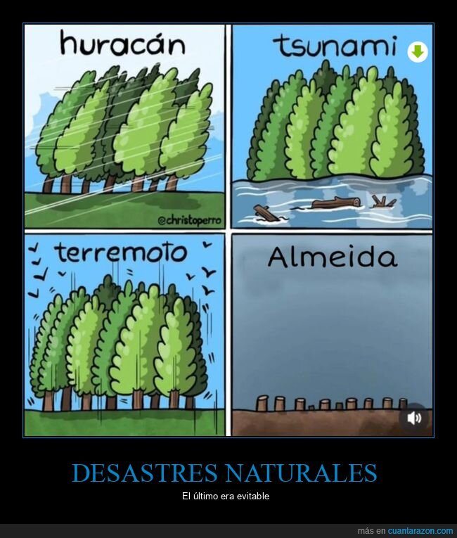 huracán,tsunami,terremoto,almeida,políticos,árboles