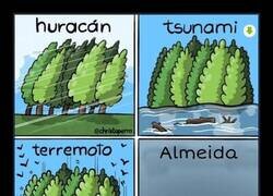 Enlace a El peor desastre natural