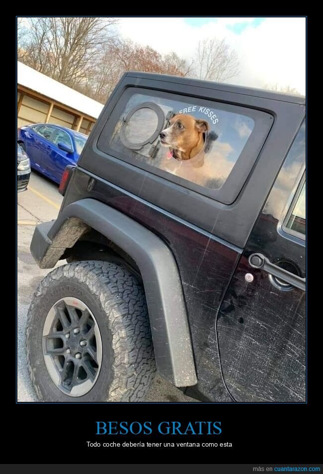 coche,perro,besos gratis