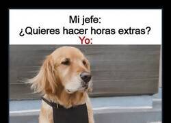 Enlace a Pocas ganas