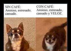 Enlace a Al menos soy más rápido