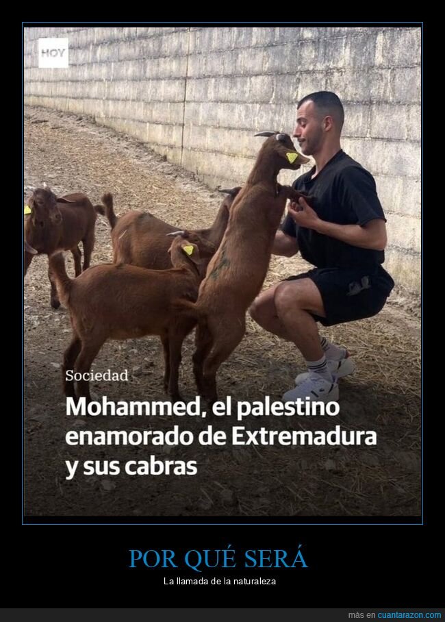 mohammed,cabras,extremadura
